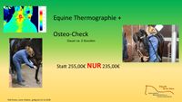 Sonderpreis Thermographie + Osteo